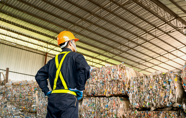 Rewilding for a greener future