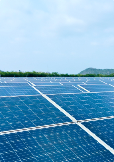 Sustainability Report 2024-25