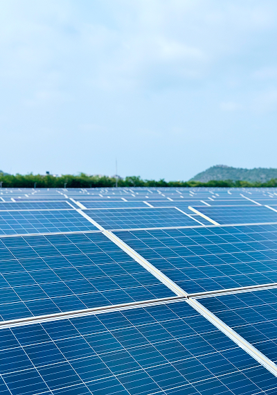 Sustainability Report 2024-25